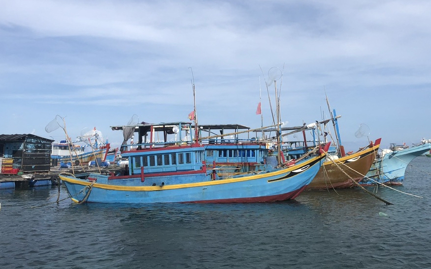 Ủy ban châu Âu sắp thanh tra tình hình chống khai thác hải sản bất hợp pháp ở Bình Thuận