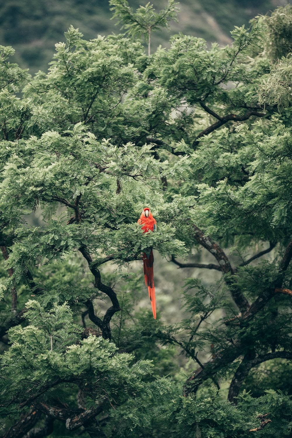 Người sinh ngày Âm lịch này sớm có bước phát triển trong sự nghiệp, làm ăn phát đạt, tài lộc dồi dào - Ảnh 1.