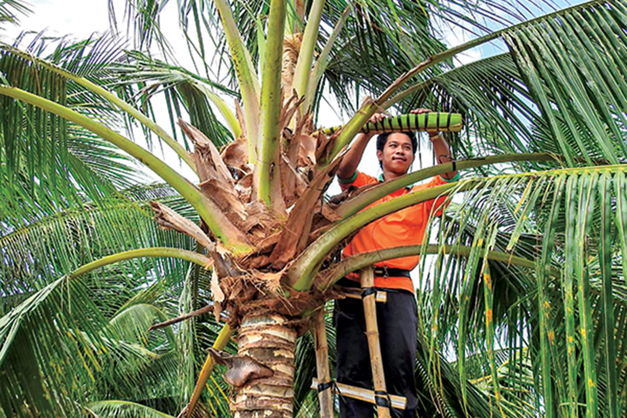 19 sản phẩm thuộc nhóm thực phẩm đạt OCOP 5 sao là những sản phẩm nào? - Ảnh 4.