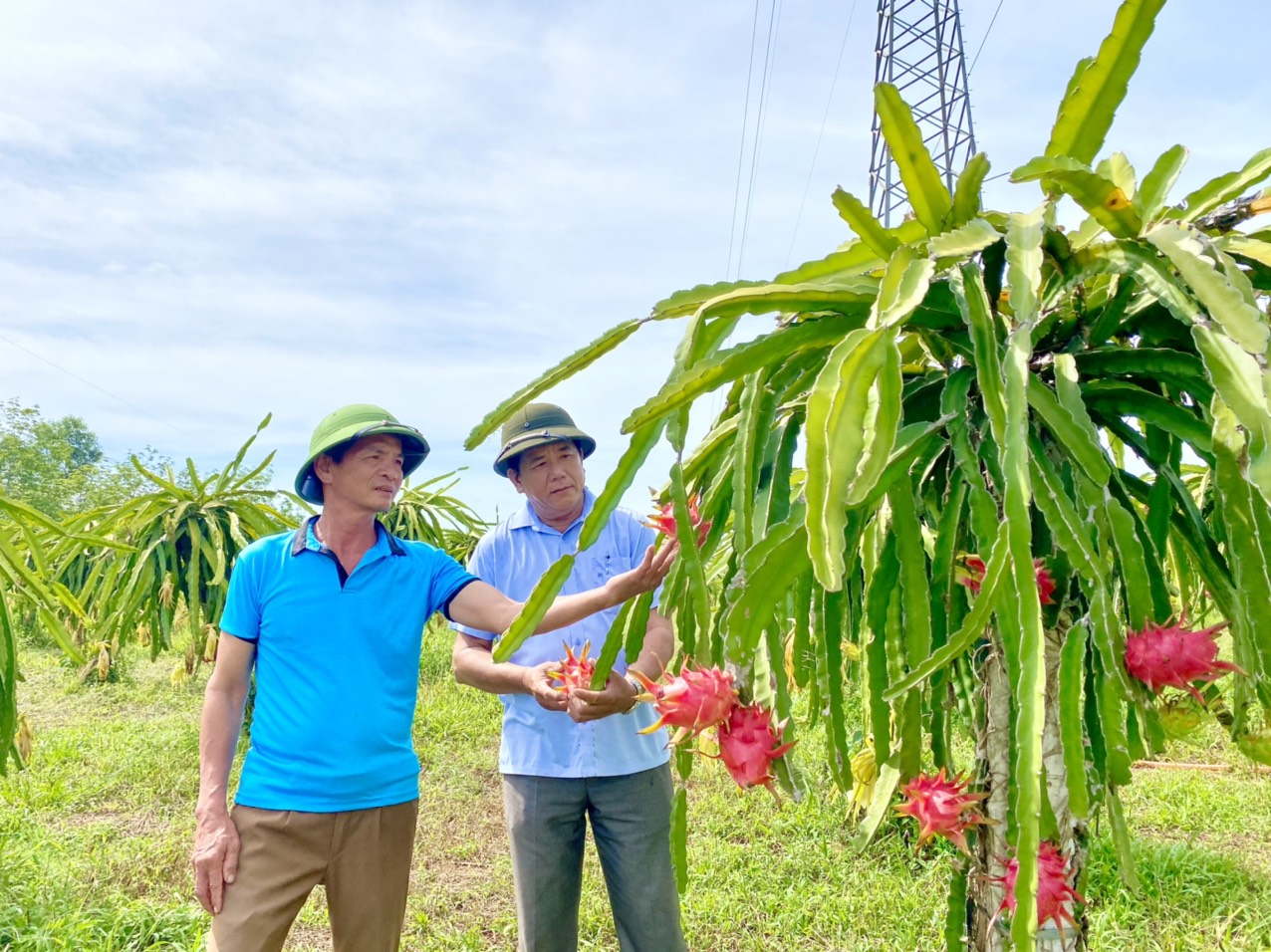 Thoát cảnh cơ hàn nhờ nuôi trồng đa cây đa con ở vùng gò đồi - Ảnh 2.