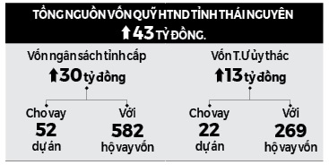 Nhà nông Thái Nguyên làm giàu từ măng lục trúc - Ảnh 2.