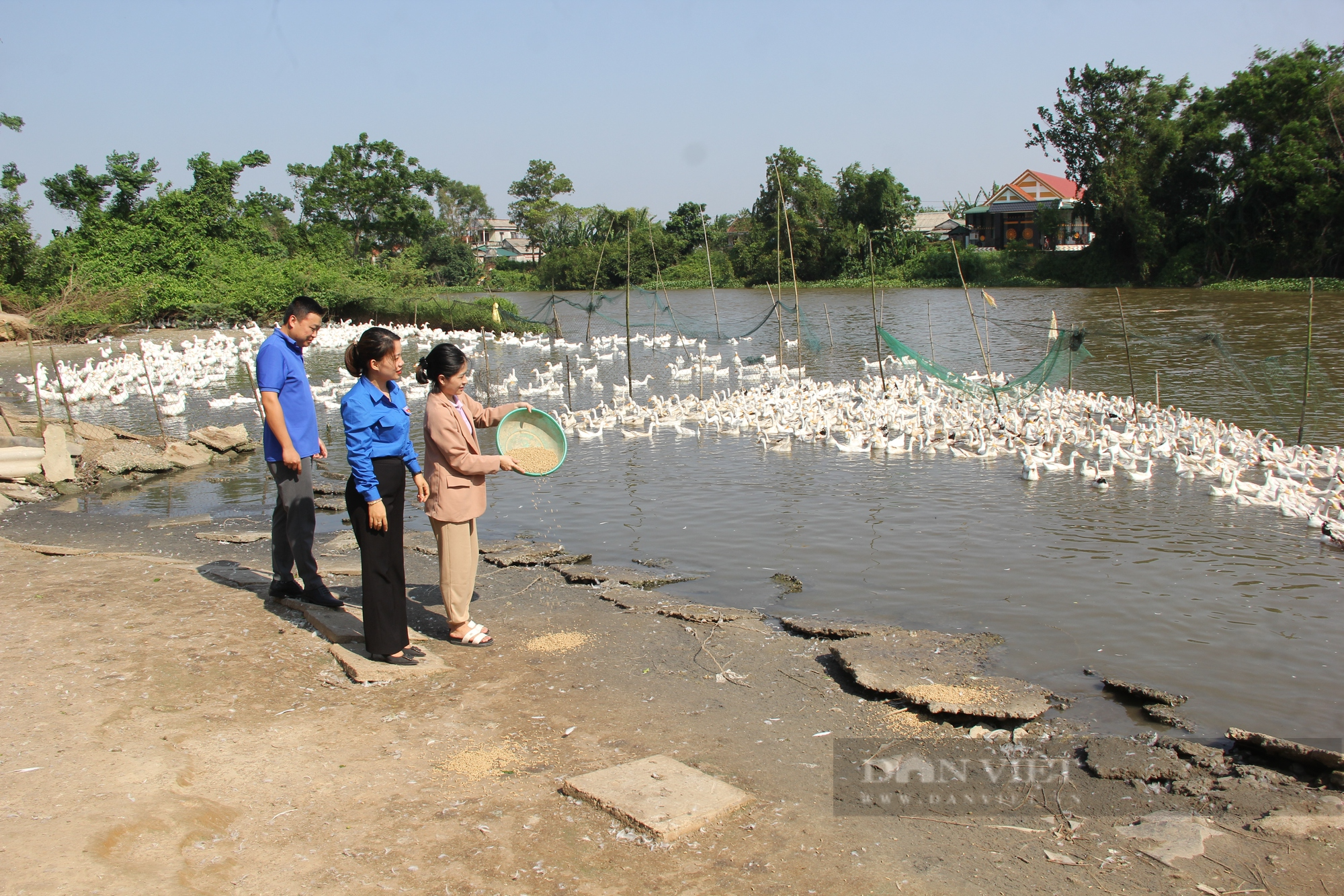 Thanh niên Quảng Trị trồng nấm bào ngư, nuôi vịt ấp trứng, ít tốn thời gian mà thu nhập ổn định - Ảnh 5.