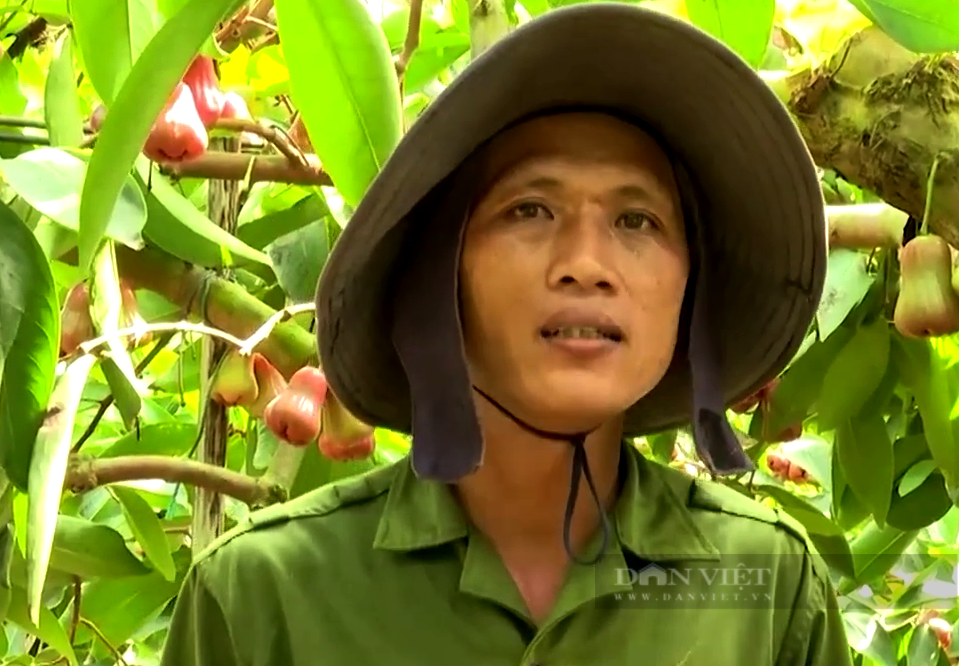 Đột phá trồng đặc sản cho “ngủ mùng”, hái không kịp bán, anh nông dân Bà Rịa – Vũng Tàu thu tiền tỷ  - Ảnh 3.