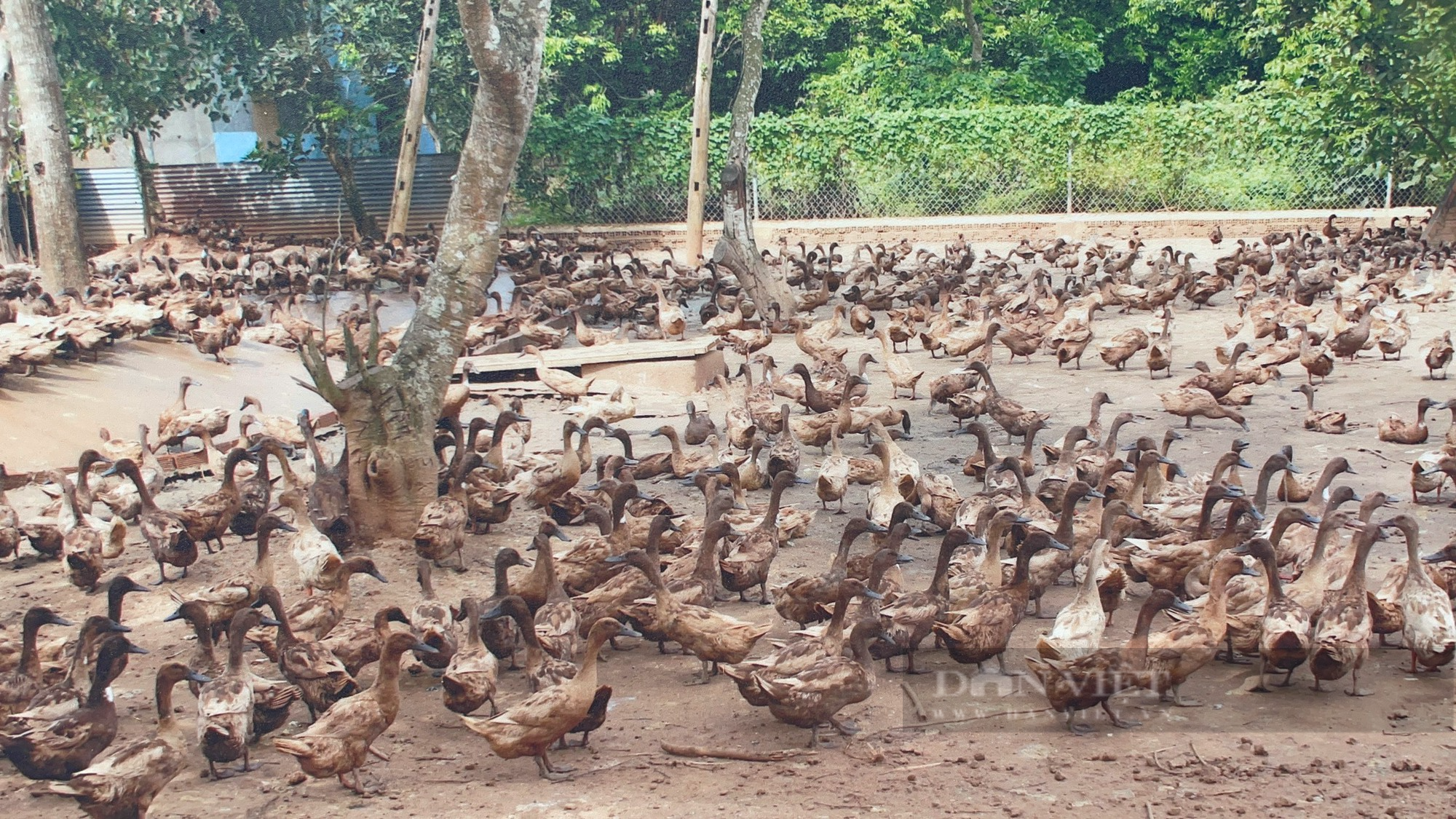 Phó Chủ tịch TƯ Hội NDVN Nguyễn Xuân Định dự Đại hội đại biểu Hội Nông dân huyện Trảng Bom, Đồng Nai - Ảnh 4.