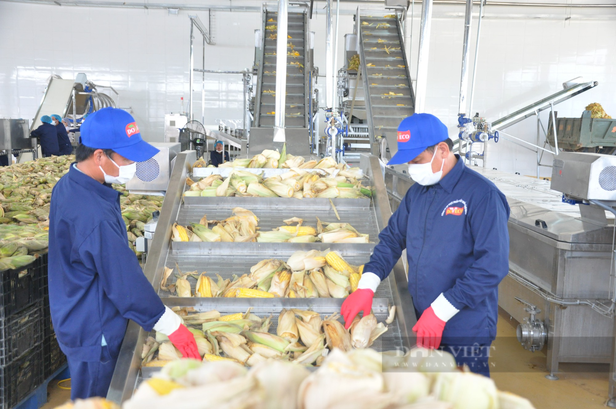 Khánh thành Trung tâm chế biến rau quả Doveco Sơn La công suất 52.000 tấn/năm - Ảnh 7.