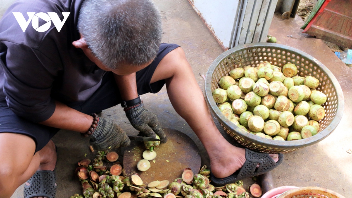 Măng cụt lên ngôi, lao động thất nghiệp ở Bình Dương hái ra tiền - Ảnh 2.