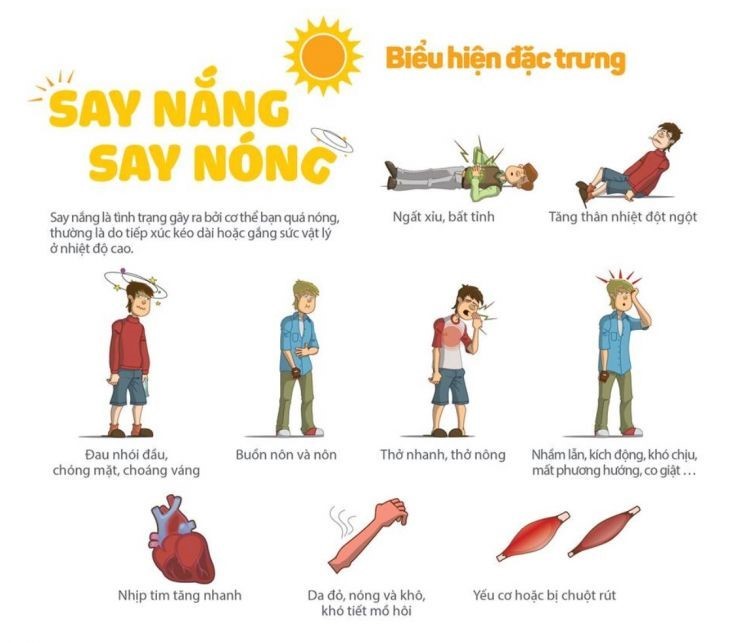 Xử trí khi say nắng, say nóng - Ảnh 1.