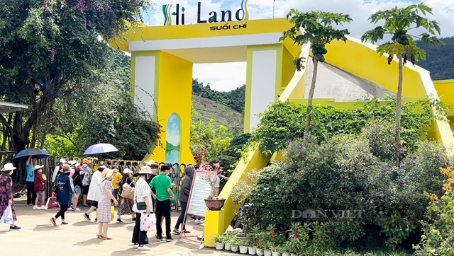Quảng Ngãi khách đến tham quan đảo Lý Sơn và khu du lịch chiếm khoảng 90% đỉnh kỷ lục - Ảnh 11.
