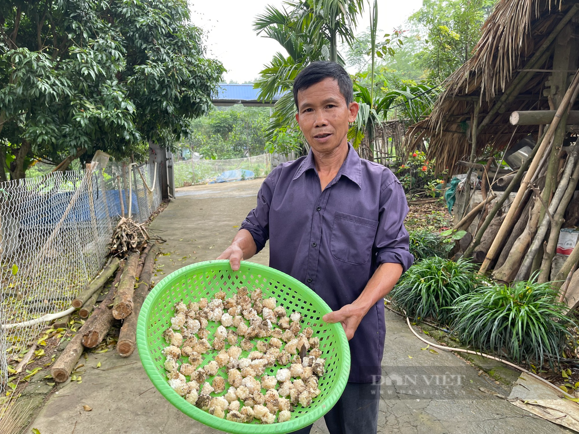 Nuôi ốc nhồi thu hơn 200 triệu đồng/năm, ông nông dân Thái Nguyên trở thành hộ sản xuất kinh doanh giỏi - Ảnh 8.
