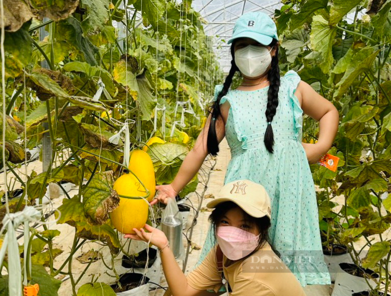 Bình Thuận: Áp dụng phát triển nông nghiệp hữu cơ công nghệ cao, nâng cao thu nhập cho người dân - Ảnh 4.