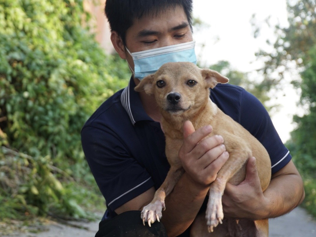 Sân nhà nhiều chó - nhóm cứu hộ đặc biệt cho hàng trăm &quot;người bạn bốn chân&quot; - Ảnh 6.