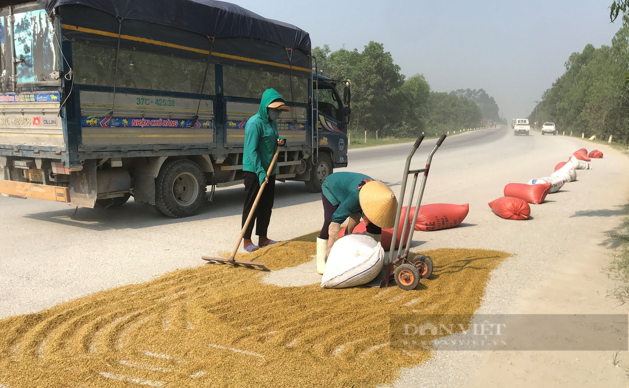 Đánh cược với tính mạng, nông dân ra quốc lộ phơi nông sản giữa dòng phương tiện lao vun vút - Ảnh 2.