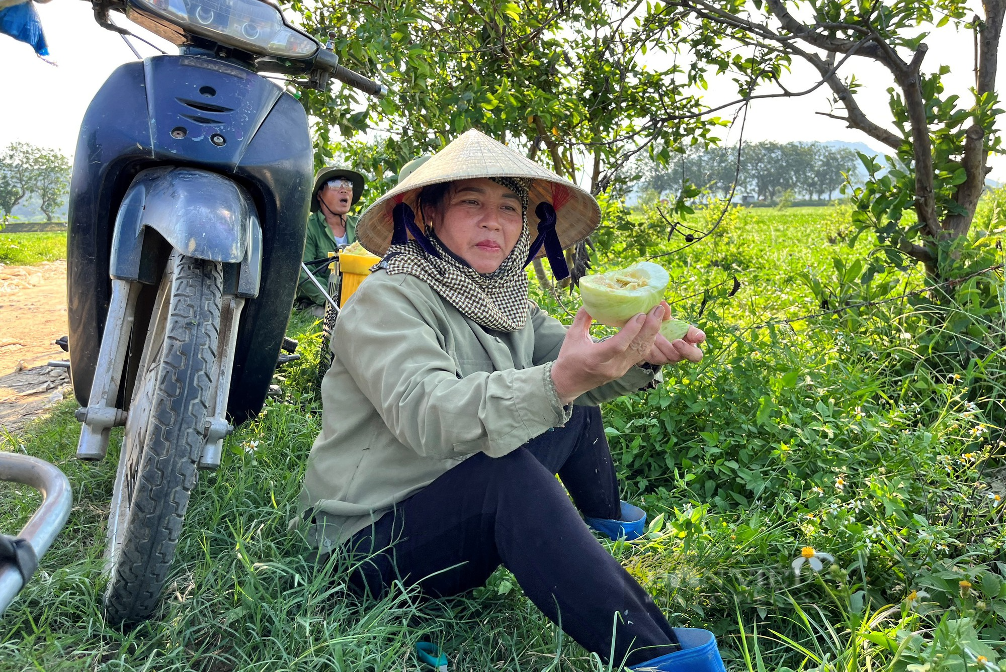 Nông dân mặc áo điều hòa, ra đồng giữa cái nắng như đổ lửa thu hoạch dưa hấu, dưa lê - Ảnh 7.