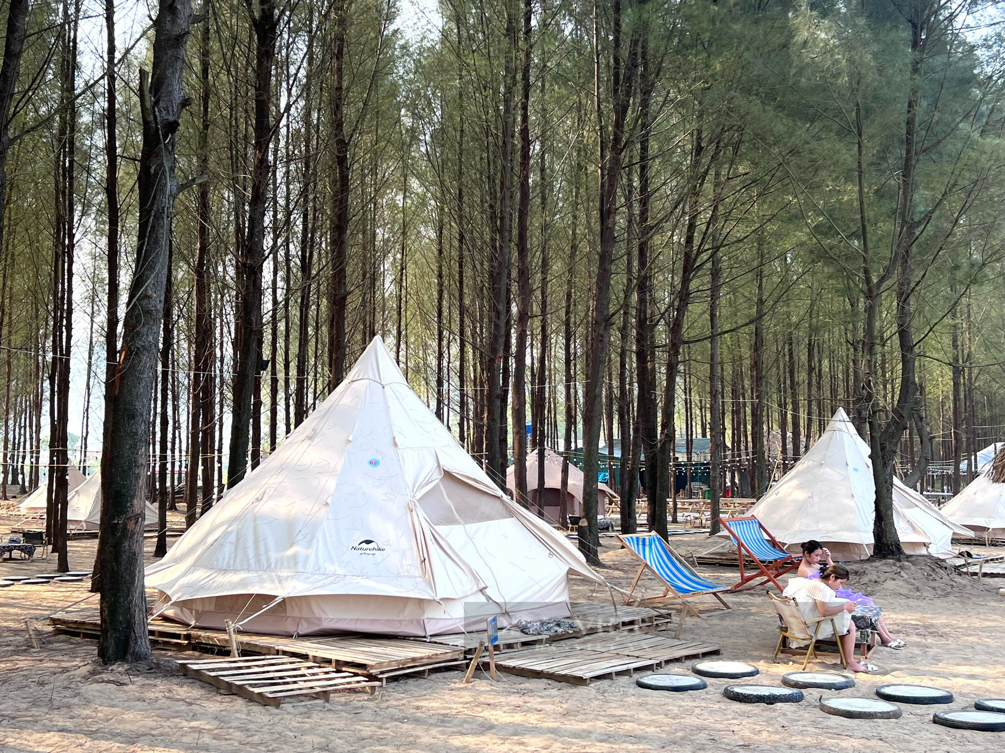 Vụ chặt rừng phòng hộ làm khu du lịch Glamping trái phép ở Thanh Hoá: Ngày 20/5 vẫn hoạt động bình thường - Ảnh 5.