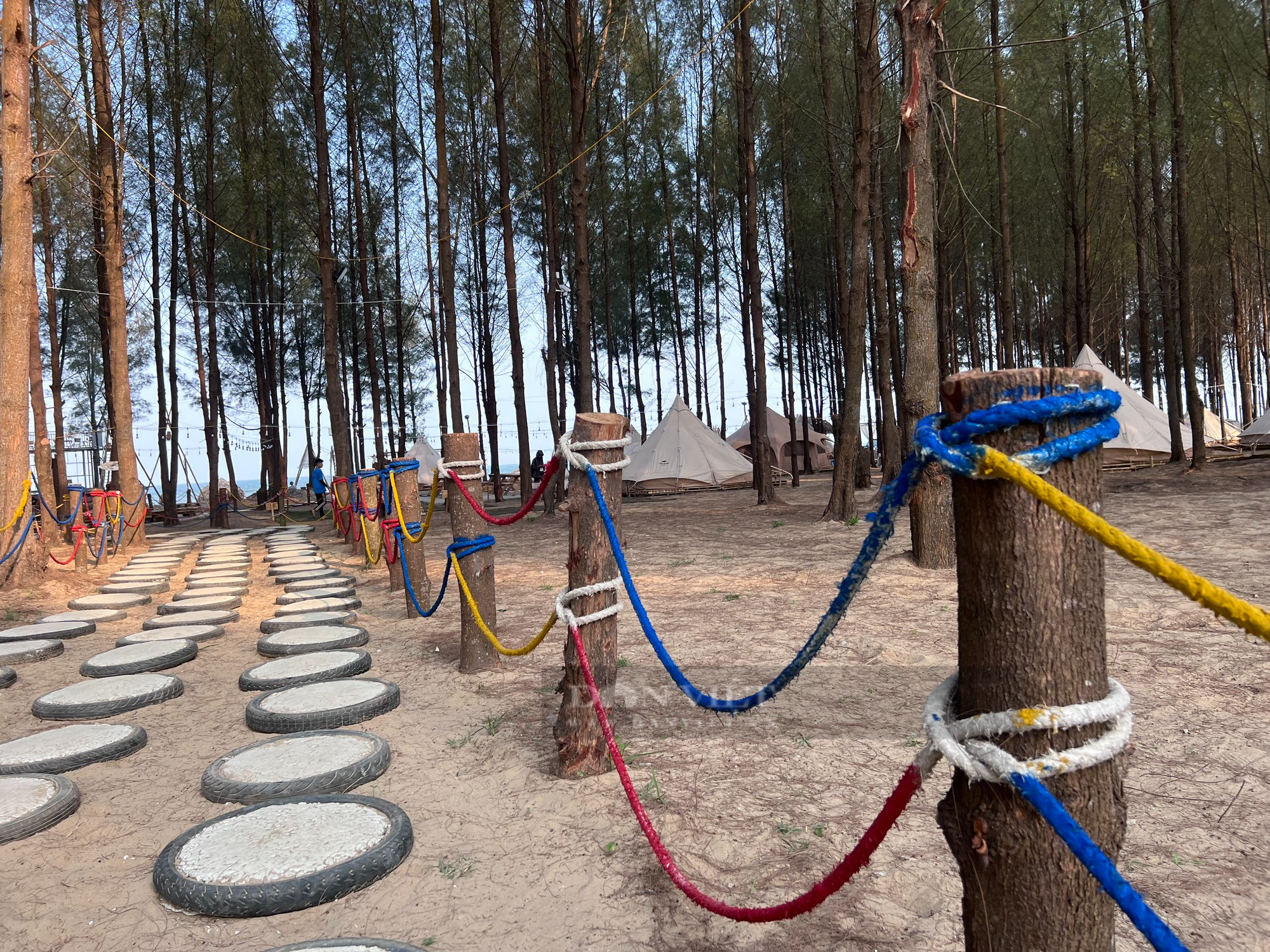 Vụ chặt rừng phòng hộ làm khu du lịch Glamping trái phép ở Thanh Hoá: Ngày 20/5 vẫn hoạt động bình thường - Ảnh 9.