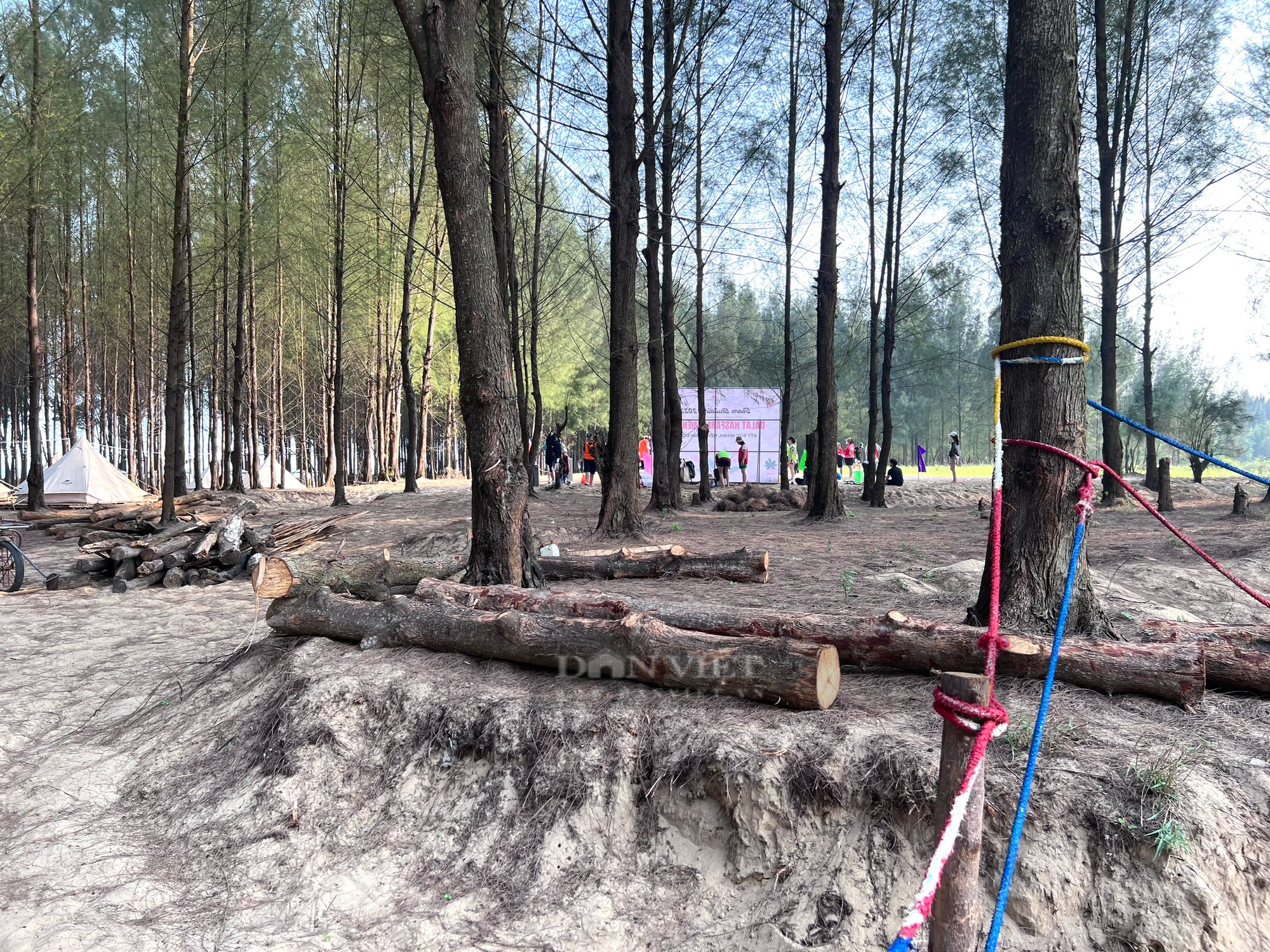 Vụ chặt rừng phòng hộ làm khu du lịch Glamping trái phép ở Thanh Hoá: Ngày 20/5 vẫn hoạt động bình thường - Ảnh 11.