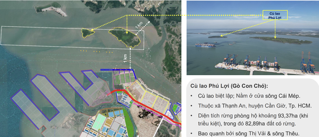 TP.HCM bắt đầu triển khai 'siêu cảng' trung chuyển quốc tế hơn 5 tỷ USD - Ảnh 1.