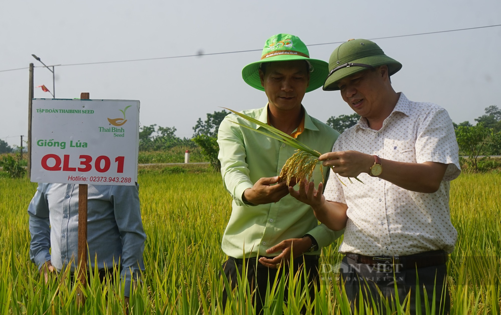 Bộ giống lúa của ThaiBinh Seed khẳng định chất lượng, cho năng suất vượt trội trên những cánh đồng Nghệ An - Ảnh 2.