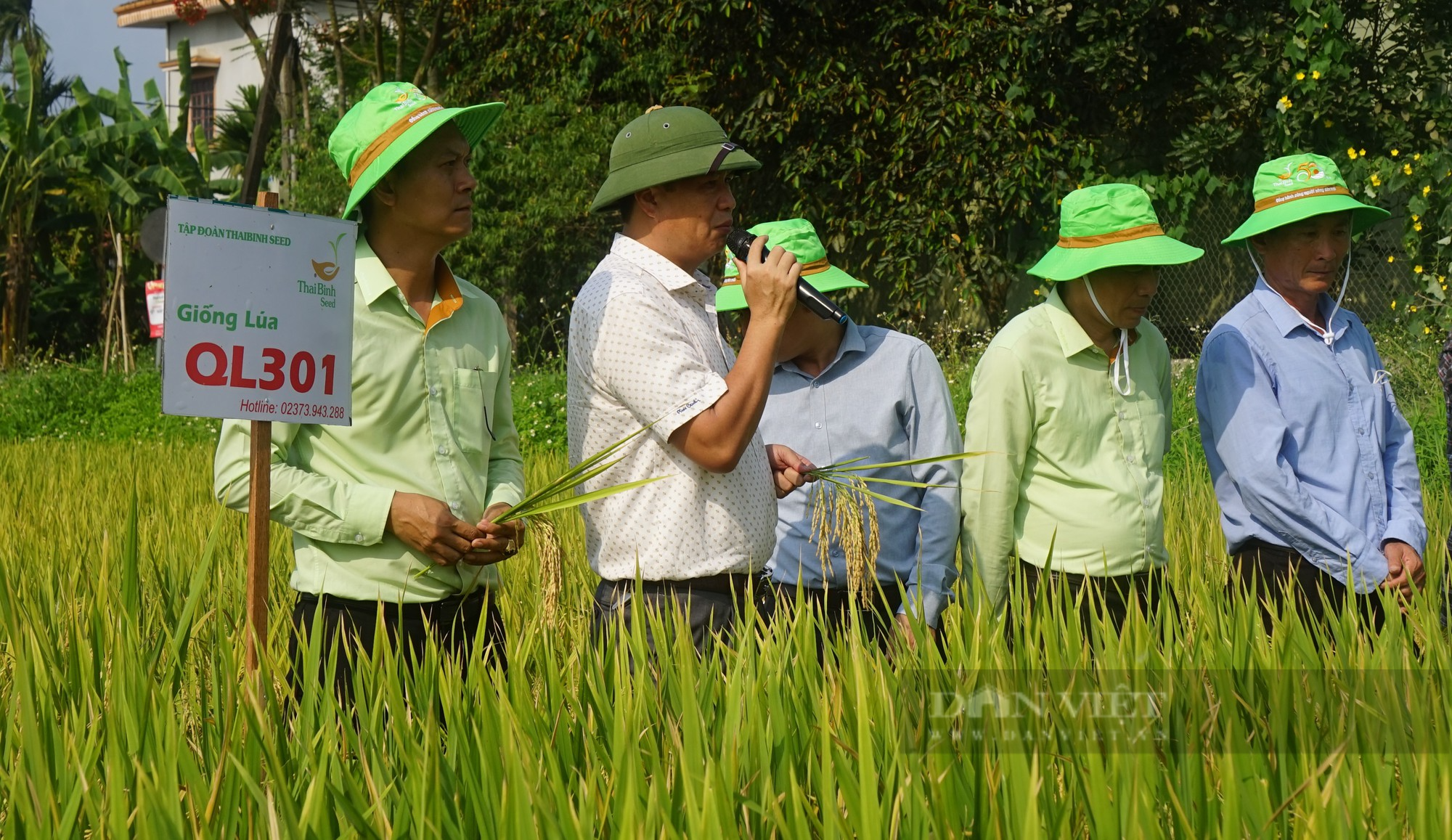 Bộ giống lúa của ThaiBinh Seed khẳng định chất lượng, cho năng suất vượt trội trên những cánh đồng Nghệ An - Ảnh 6.