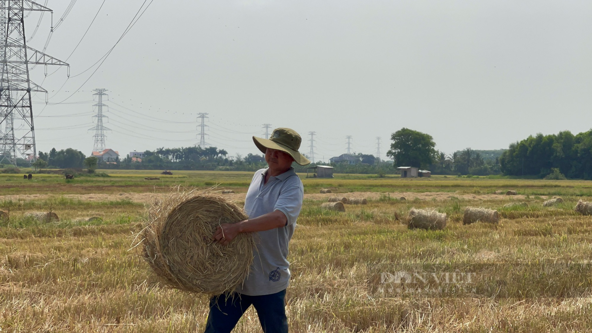 Bán rơm rạ, nông dân Đồng Nai thu về 2,5 triệu/ha - Ảnh 3.