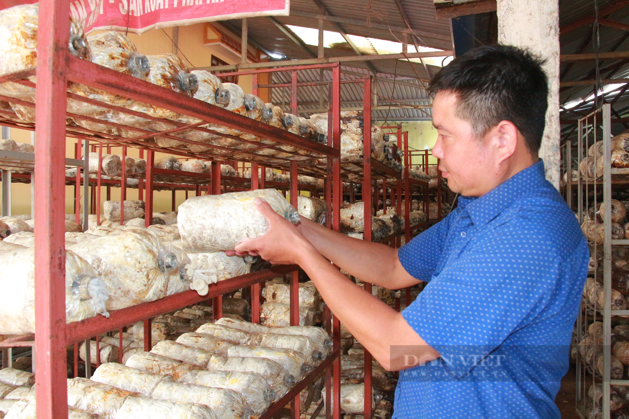 Một HTX sản xuất nấm sạch ở Nam Định vinh dự được Thủ tướng Chính phủ tặng Bằng khen - Ảnh 2.