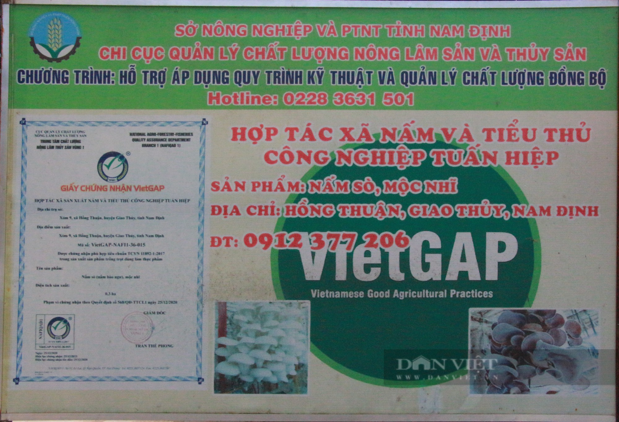 Một HTX sản xuất nấm sạch ở Nam Định vinh dự được Thủ tướng Chính phủ tặng Bằng khen - Ảnh 5.
