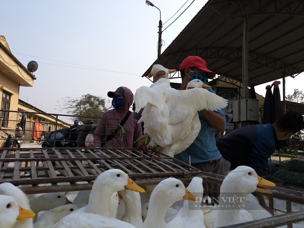 Giải mã trend 