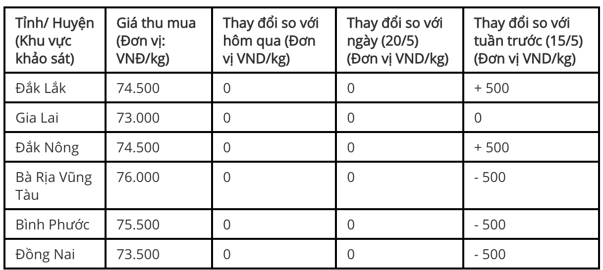 Giá tiêu bật tăng 6.500 đồng/kg, doanh nghiệp thu mua ồ ạt nhưng đem về &quot;găm&quot; trong kho - Ảnh 1.