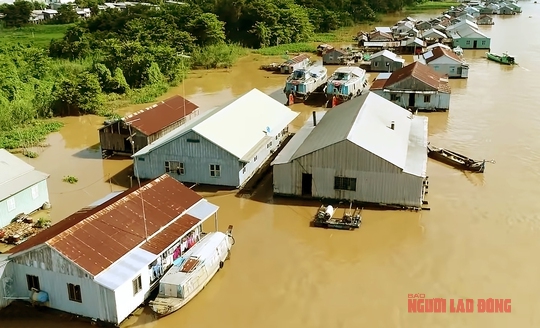 Sắp có làng bè độc nhất ở miền Tây - Ảnh 1.