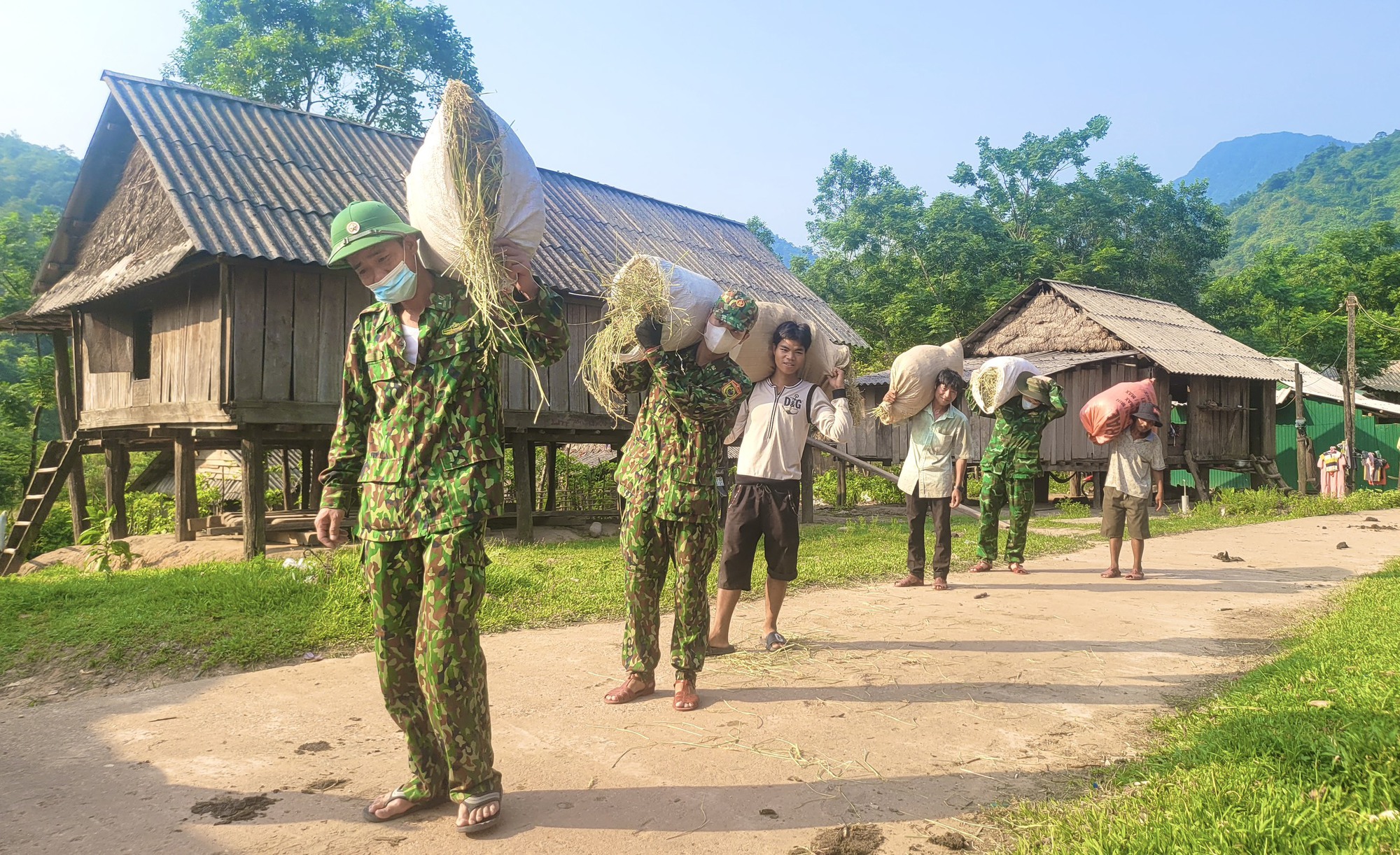 Quảng Bình: Bộ đội Biên phòng giúp dân bản gặt lúa dưới cái nắng &quot;như đổ lửa&quot; - Ảnh 3.