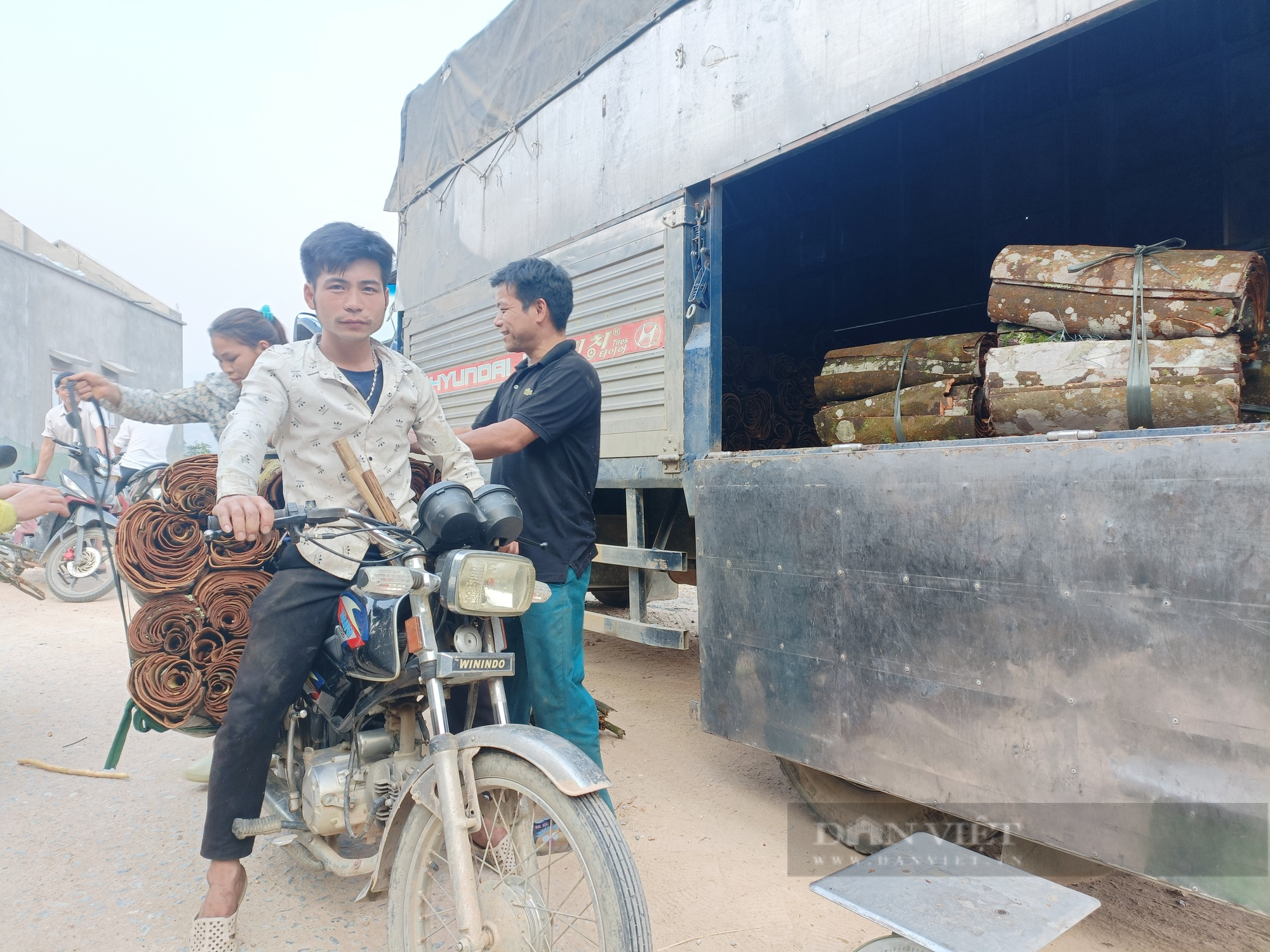 &quot;Xã tỷ phú&quot; ở Lào Cai (bài 1): Gặp nguyên Bí thư Chi bộ 100 tuổi giúp bản làng &quot;đổi đời&quot; nhờ trồng quế  - Ảnh 4.