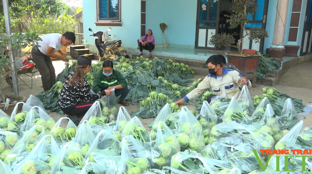 Pắc Ta nỗ lực nâng cao thu nhập cho người dân - Ảnh 5.