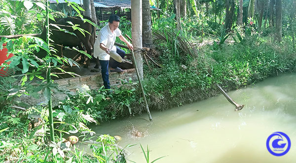 Chuyện lạ Tiền Giang, nuôi sâu để bắt sâu nuôi cá, nông dân khá lên - Ảnh 1.