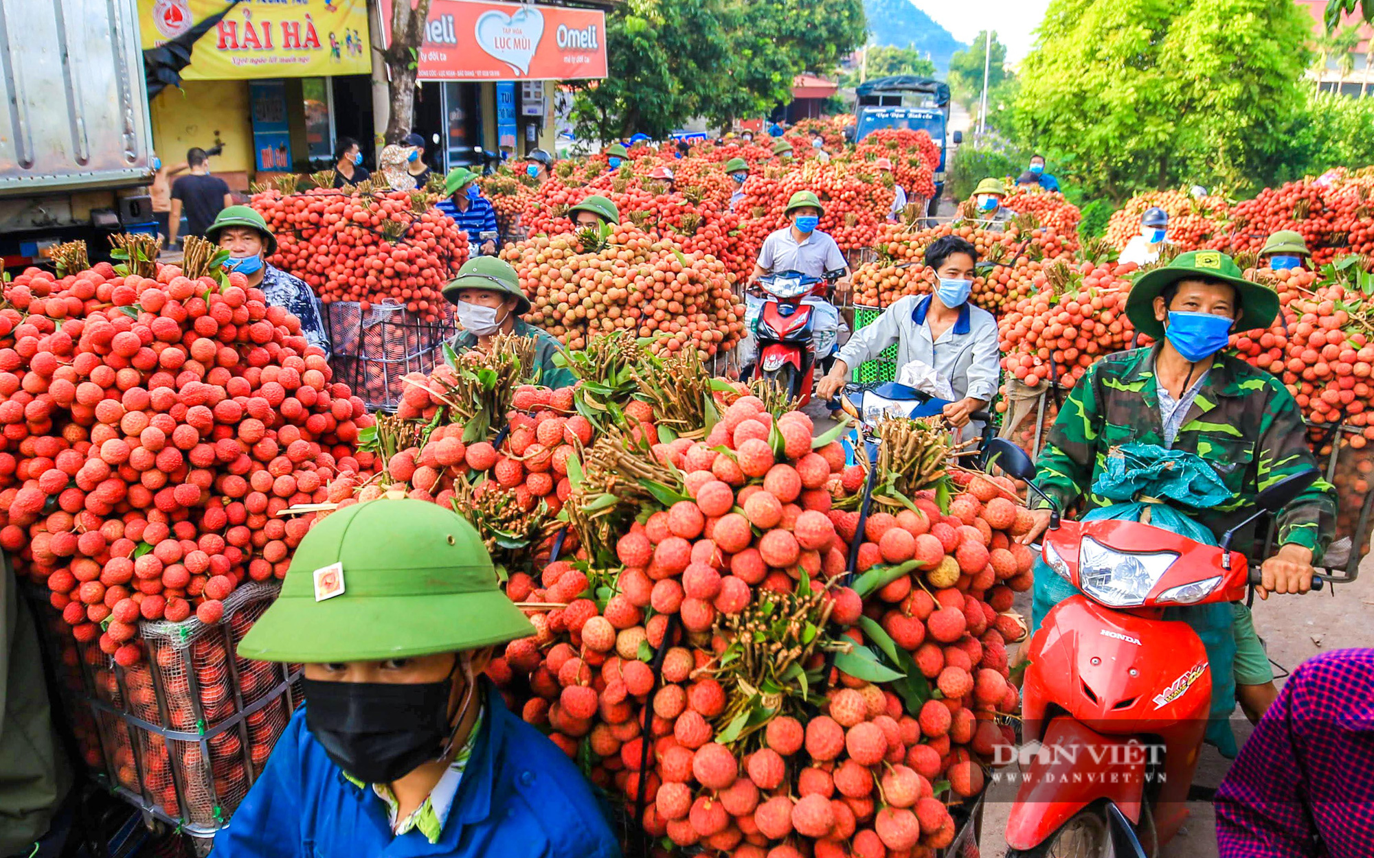 Mỹ công nhận thêm một trung tâm chiếu xạ ở Hà Nội, vải thiều thuận đường sang Mỹ, Úc