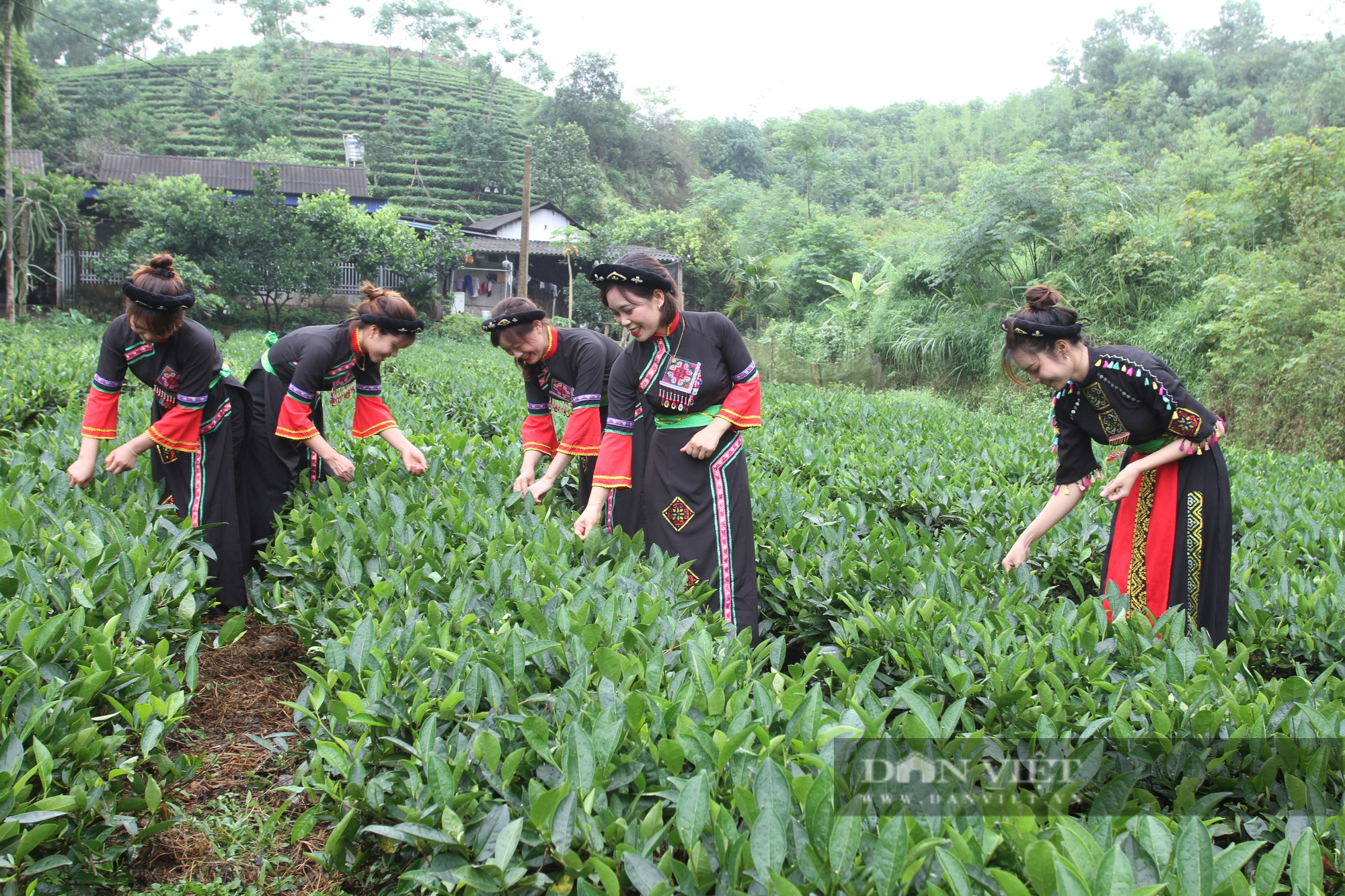 Nông thôn mới Thái Nguyên: Khe Cốc đón bằng công nhận xóm nông thôn mới kiểu mẫu - Ảnh 2.