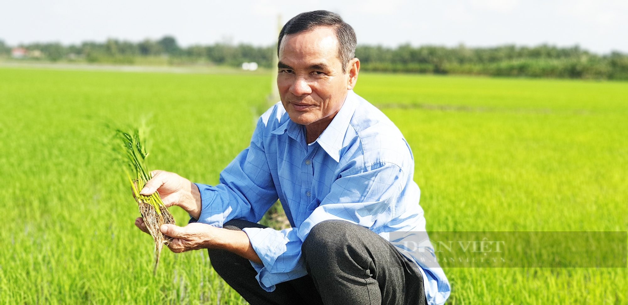 Hợp tác xã nào tiên phong trồng lúa hữu cơ quy mô lớn ở Vĩnh Long, có bao nhiêu lúa gạo cũng bán hết? - Ảnh 1.