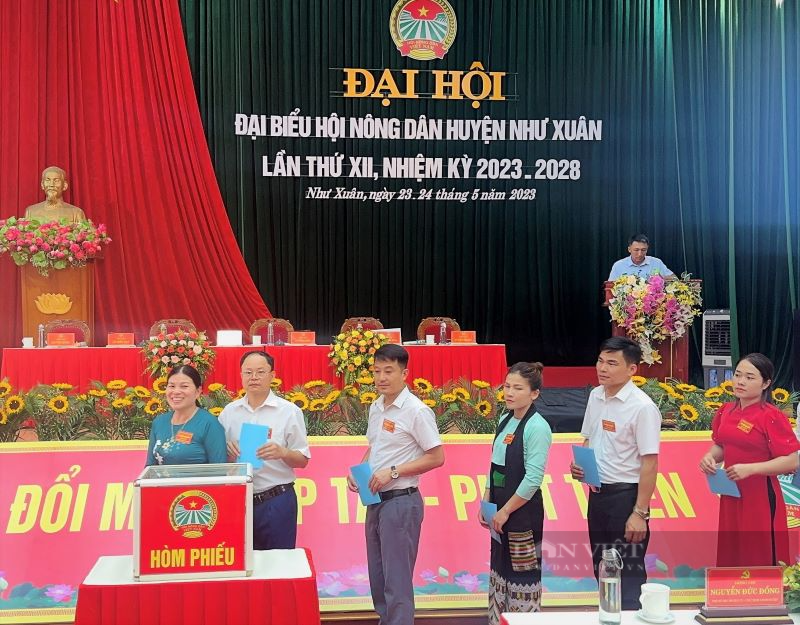 Thanh Hoá: Bà Lô Thị Diễn tái đắc cử Chủ tịch Hội Nông dân huyện Như Xuân  - Ảnh 2.