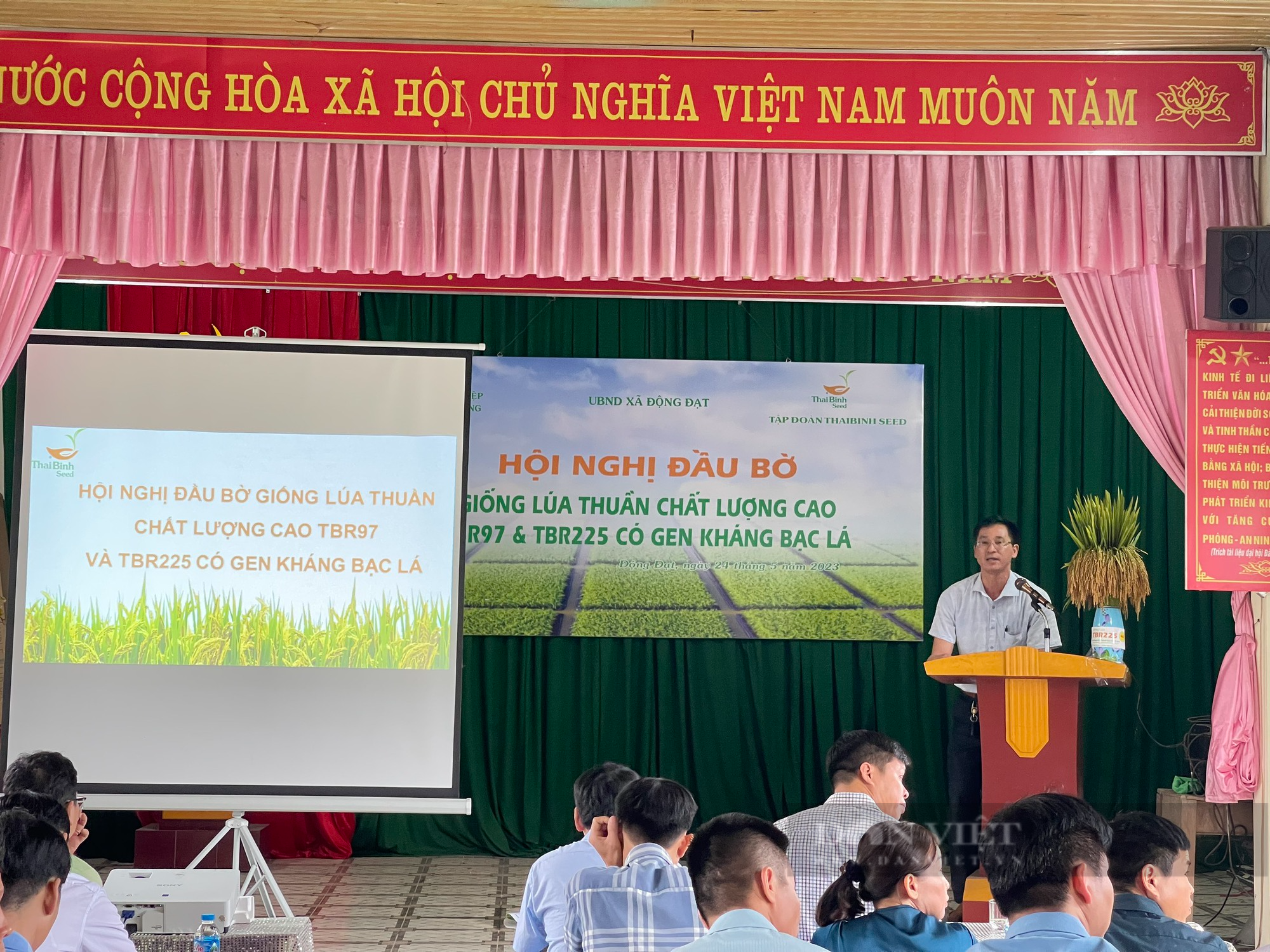 Giống lúa mới có gen kháng bạc cho năng suất cao vượt trội trên cánh đồng ở huyện miền núi của Thái Nguyên - Ảnh 1.