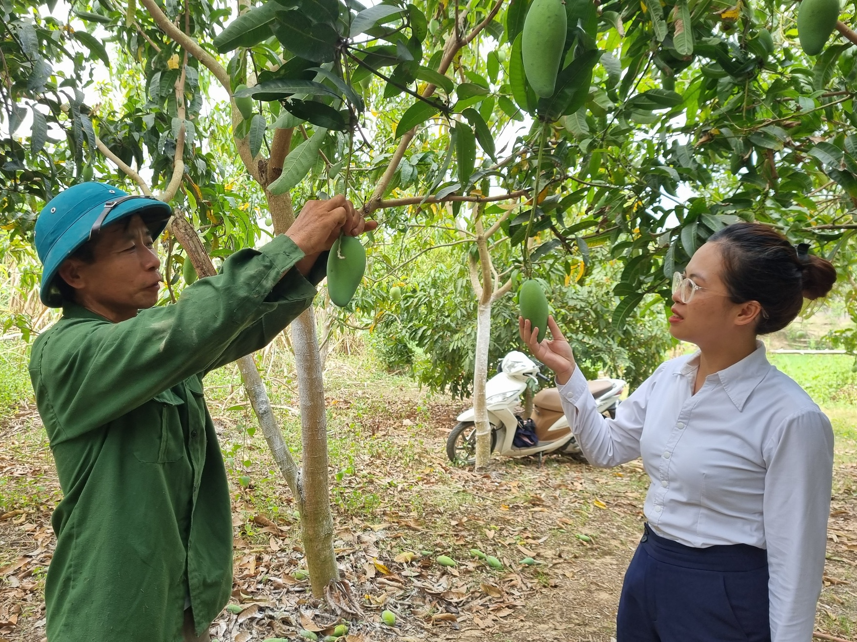 Agribank đẩy mạnh triển khai chính sách tín dụng nông nghiệp, nông thôn - Ảnh 4.