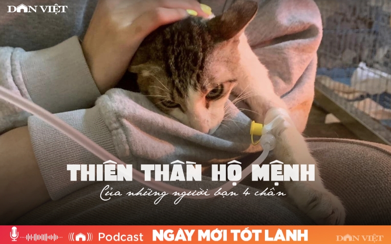 &quot;Thiên thần hộ mệnh&quot; của những người bạn bốn chân - Ảnh 1.