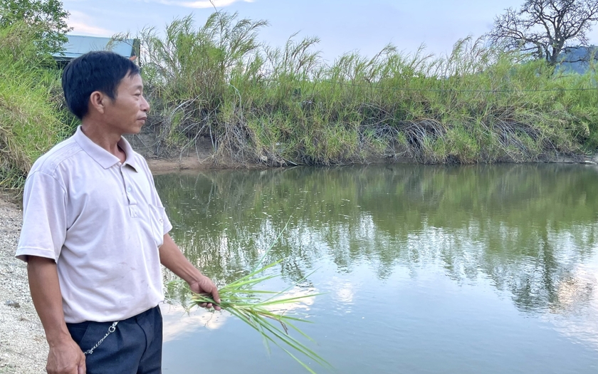 Đa lợi ích là mô hình kinh tế gì mà một ông nông dân Gia Lai làm thành công, kiếm thêm bộn tiền?