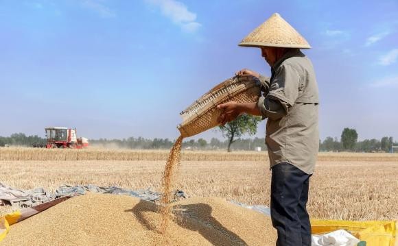 Các cụ dạy: &quot;Đàn ông sợ tháng Tám, đàn bà sợ tháng Chạp&quot; - Ảnh 1.