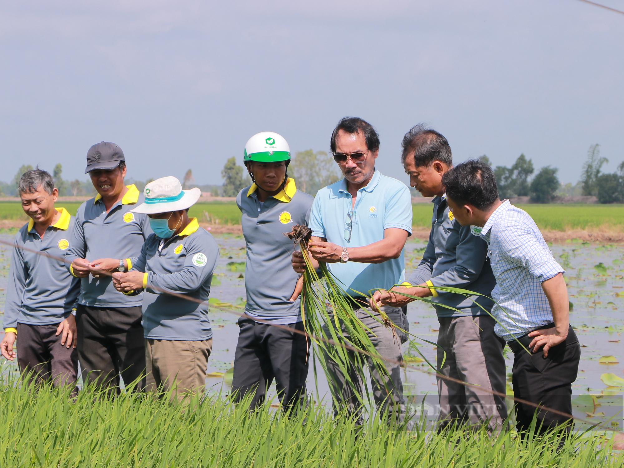 Máy bay nông nghiệp, phân bón hữu cơ công nghệ cao đang giúp ích cho bà con trồng lúa - Ảnh 4.