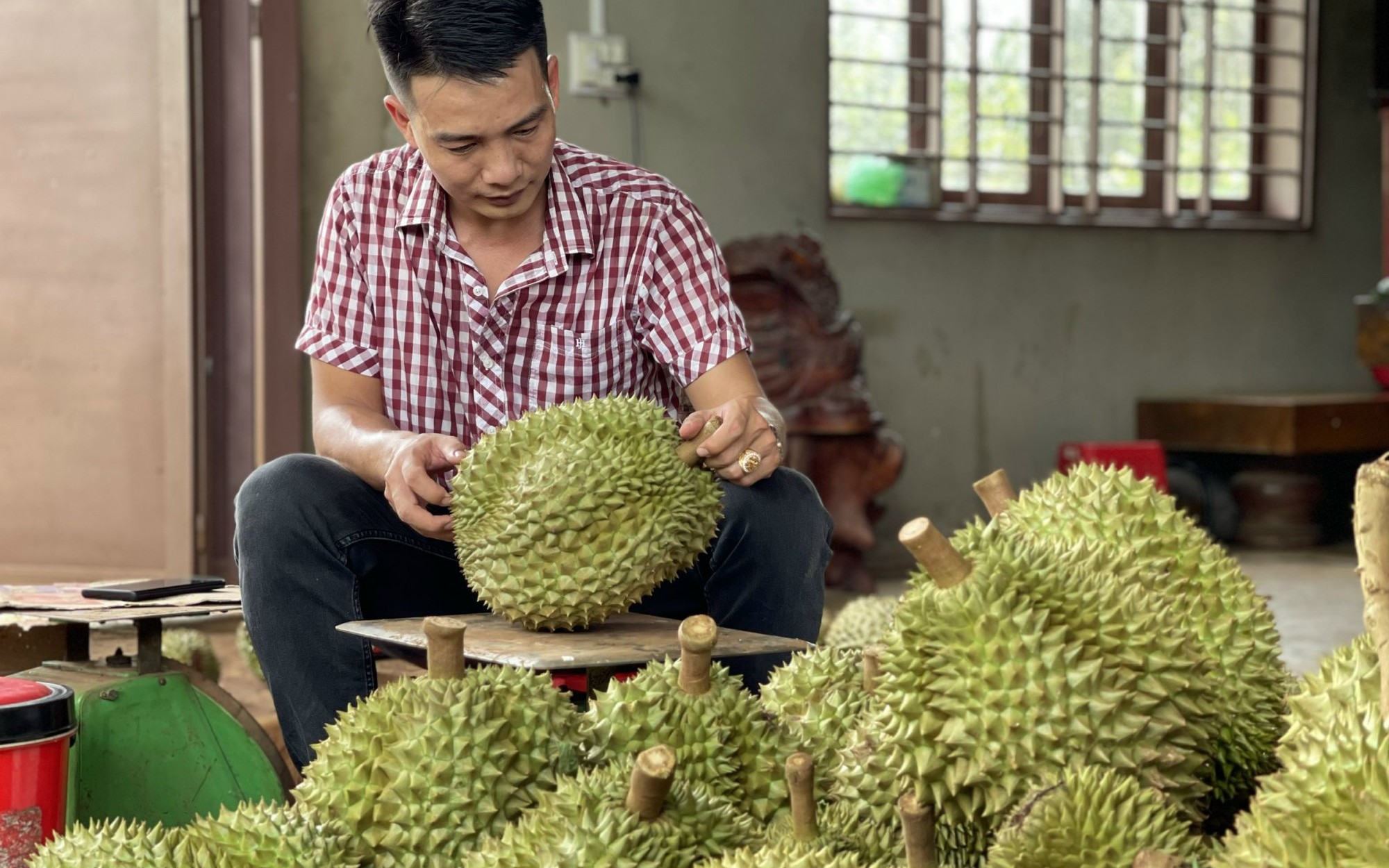 Không ngờ thứ trái cây có mùi hơi lạ, ai đã ăn là nghiện của Việt Nam đã bán đến 22 nước