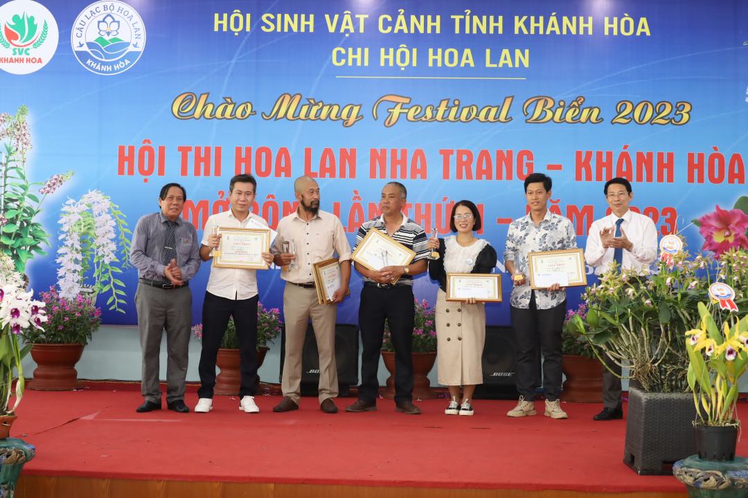 Đây là những chậu hoa lan đạt giải Nhất tại một hội thi tổ chức ở Khánh Hòa - Ảnh 1.