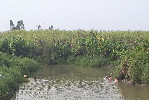 Đa lợi ích là mô hình kinh tế gì mà một ông nông dân Gia Lai làm thành công, kiếm thêm bộn tiền? - Ảnh 2.