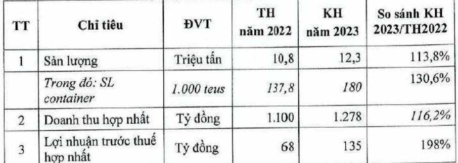 Cảng Quy Nhơn: Lên kế hoạch lãi tăng 98% trong năm 2023, kiên trì niêm yết cổ phiếu QNP trên HoSE - Ảnh 1.