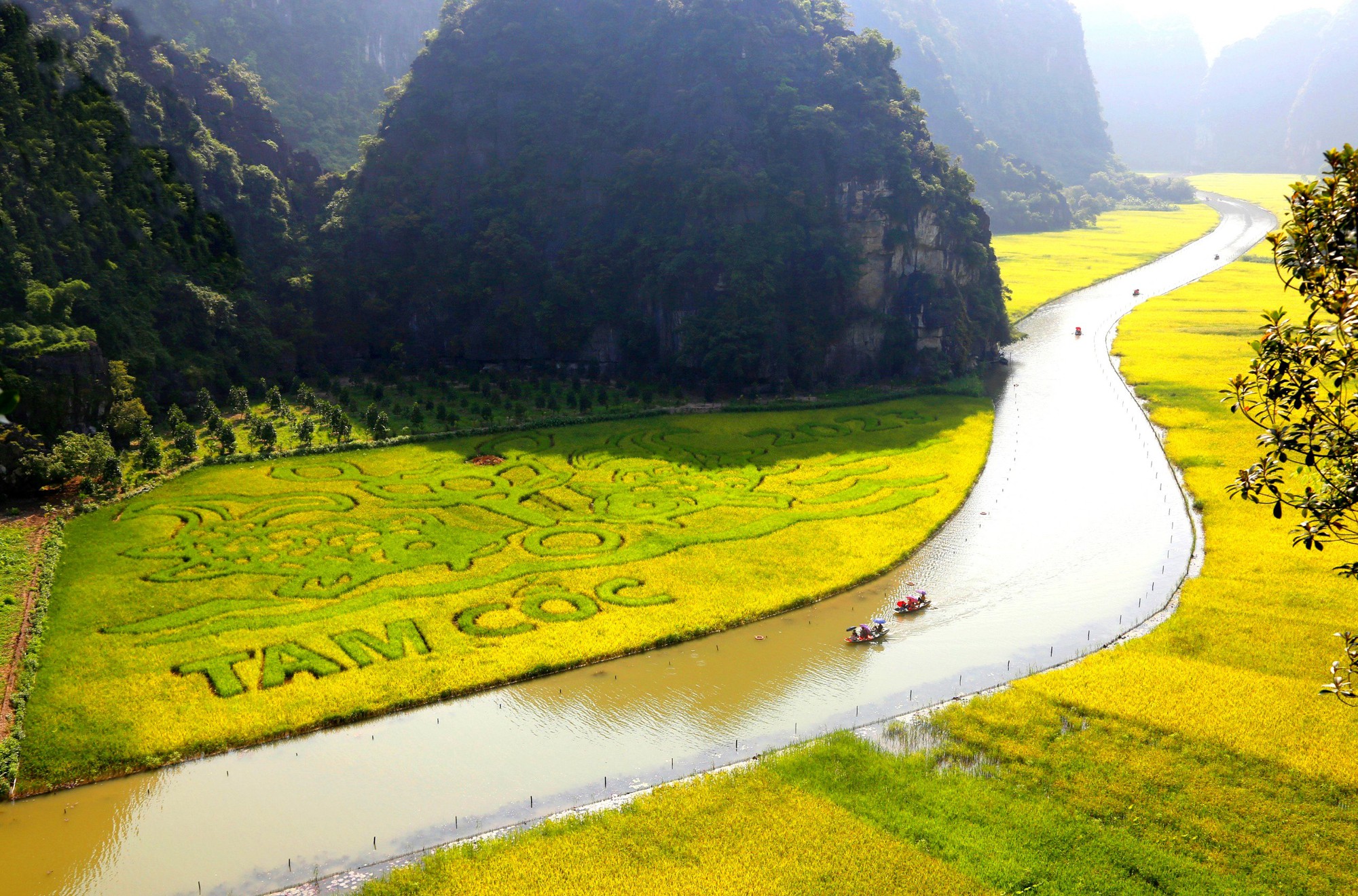 Độc đáo cánh đồng lúa được khắc họa hình ảnh đôi cá chép ở Ninh Bình - Ảnh 1.