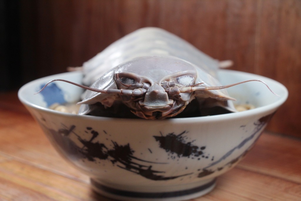 Món mỳ bọ biển khổng lồ &quot;kinh dị&quot; tại Đài Loan - Ảnh 2.