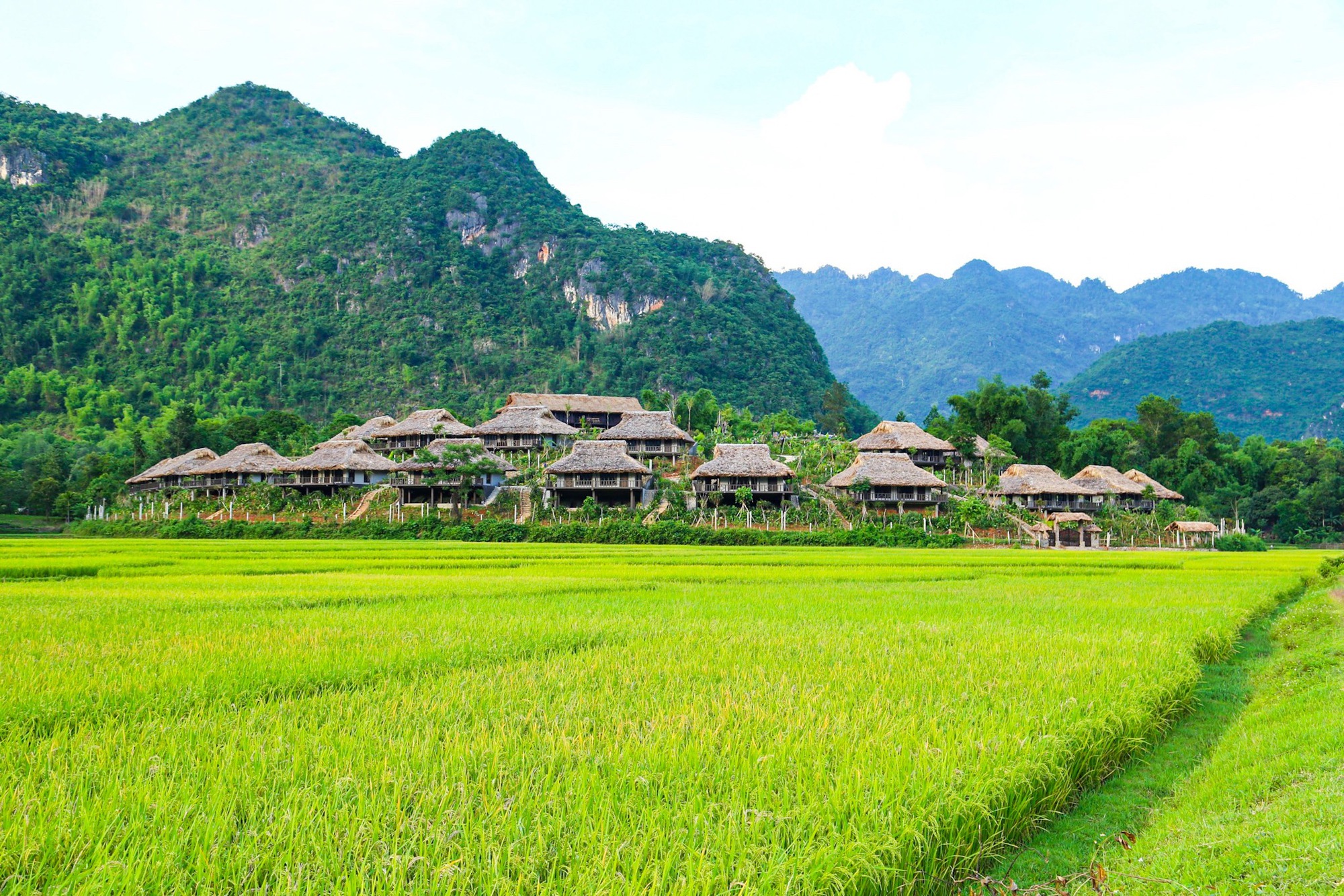 Hòa Bình: Loạt dự án tại Mai Châu chậm tiến độ, không có giấy phép xây dựng - Ảnh 1.